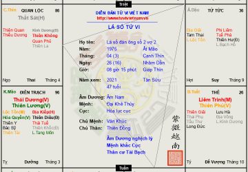 Đàn ông số 2 vợ