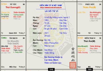 Lá số lấy chồng nước ngoài có cách cục như thế nào trong Tử vi đẩu số