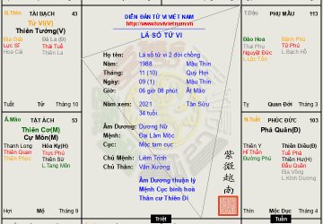 Lá số tử vi 2 đời chồng mệnh Liêm Trinh vượng tại Thân