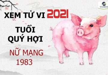 Tử Vi Tuổi Quý Hợi năm 2021 Nữ Mạng