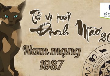 Tử-vi-tuổi-Đinh-Mão-1987-Nam-Mạng-năm-2021