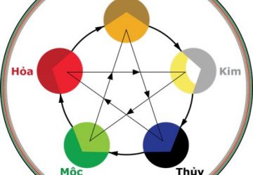 Sự nghiệp long đong, lận đận vì không biết ngũ hành