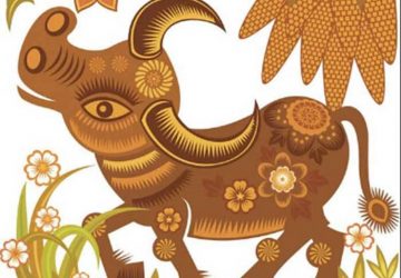 Theo các chuyên gia phong thủy dự báo 2021 sẽ là năm vực dậy của 12 con giáp. Nếu muốn tài lộc ãy để vật này trong nhà