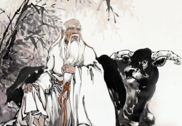 Người thông minh không hẳn là người có trí tuệ?