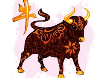 Tam hợp những điều cần biết để vận dụng sinh con như ý trong năm mới 2021