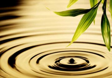 Trầm ổn mới là bậc thày khôn khéo