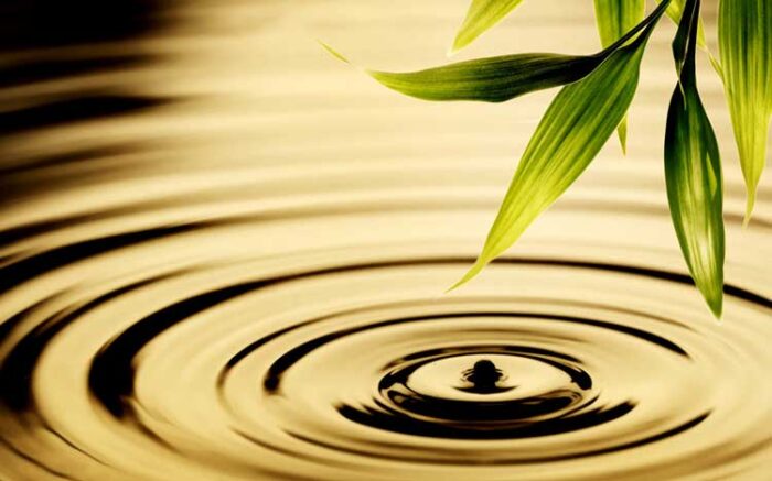 Trầm ổn mới là bậc thày khôn khéo