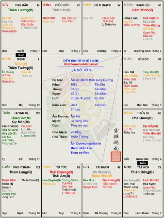 Lá số 26: âm nữ cách Tử Phủ Vũ Tướng, áp đảo kẻ khác hỏi rằng cứ cô đơn?