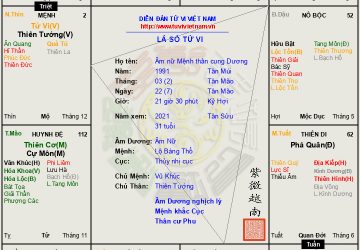 Lá số 26: âm nữ cách Tử Phủ Vũ Tướng, áp đảo kẻ khác hỏi rằng cứ cô đơn?