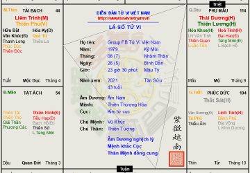 Lá Số 21: Xác định giờ sinh Nam Thiếu Dương thiên không