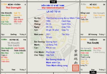 Lá số 26|: Thái Dương vượng địa cư mệnh thân bản lĩnh kém có vượt qua được cô độc ?