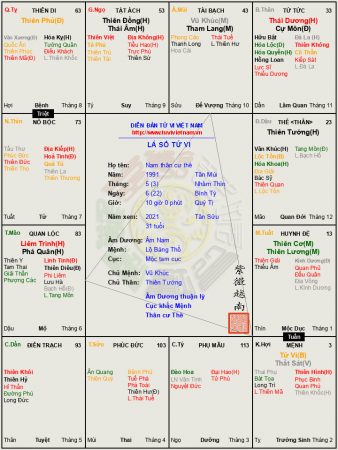 LÁ SỐ 20: Nam tuổi Tân Mùi Tử vi Tọa thủ thân cư thê, hưởng tam tài phú quý.