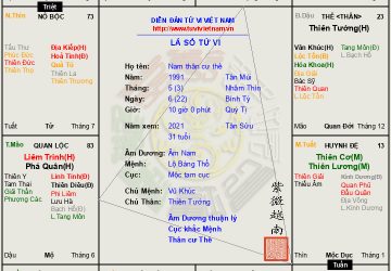 LÁ SỐ 20: Nam tuổi Tân Mùi Tử vi Tọa thủ thân cư thê, hưởng tam tài phú quý.