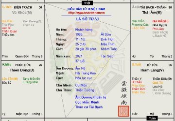 lá số tử vi nữ Ất Sửu Nữ Ất Sửu can khắc chi mệnh không thân kiếp