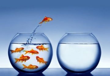 Làm thế nào để thay đổi vận mệnh con người?