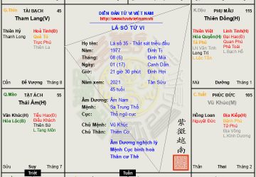 LÁ SỐ 35: Âm nam Thất sát cư mệnh ăn cách Thất Sát Triều đẩu- Sát Phá Tham rõ nét. Một đời tư cách, luôn thích trên cơ người khác.