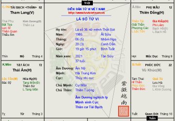 LÁ SỐ 36: Âm nữ mệnh Thất Sát tại Thân, có tài tham mưu thao lược, nằm quyền sinh sát, một đời phú quý hơn người
