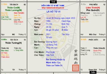 Lá số 37: Dương Nam mệnh Vô Chính Diệu, mệnh khắc cục, cuộc đời nhiều biến động