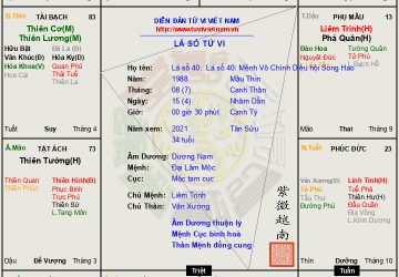 LÁ SỐ 40: Mệnh Vô Chính Diệu hội Song Hao, Thiên Mã một đời ly hương, lập nghiệp ở xa quê