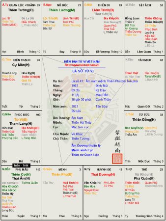 LÁ SỐ 41: âm nam Mệnh Thiên Phủ hội Tuế phá được Thiên Trù hội Đại hao khi bất mãn thì chỉ có làm bạn với bia rượu được Thiên Trù hội Đại hao khi bất mãn thì chỉ có làm bạn với bia rượu