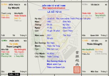 LÁ SỐ 41: âm nam Mệnh Thiên Phủ hội Tuế phá được Thiên Trù hội Đại hao khi bất mãn thì chỉ có làm bạn với bia rượu được Thiên Trù hội Đại hao khi bất mãn thì chỉ có làm bạn với bia rượu