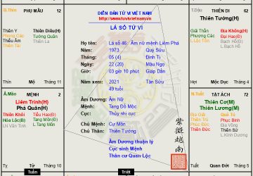Lá số 46: Âm nữ mệnh Liêm phá hãm tại Mão ngộ Tuần