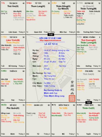 Lá số 47 Âm nam mệnh Dương Lương hãm tại Dậu, có tài nhưng không gặp thời