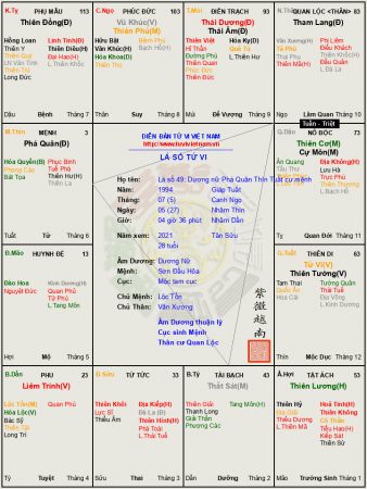 Lá số 49: Dương nữ Mệnh Phá Quân tại Thìn Tuất, gặp núi mở đường, gặp sông thì bắc cầu