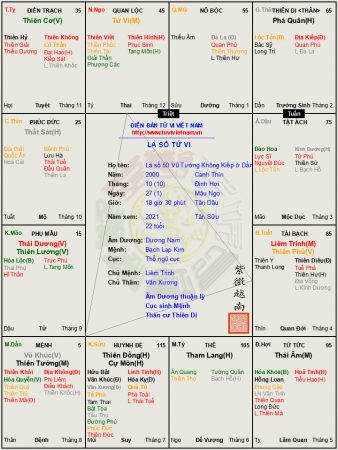 Lá số 50 Dương nam Vũ Tướng Không Kiếp ở Dần