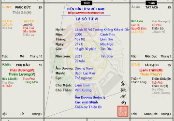 Lá số 50 Dương nam Vũ Tướng Không Kiếp ở Dần