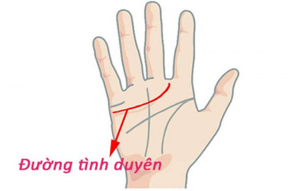 Đường chỉ tay tình duyên thường bắt đầu từ phía dưới ngón út là chạy tới lòng bàn tay, tốt nhất là kết thúc ở giữa ngón trỏ và ngón giữa.