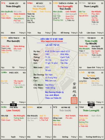 Lá số 33:   Âm Nam Mệnh Vô Chính Diệu, hội Âm Dương sang chiếu, càng đi xa càng có danh tiếng