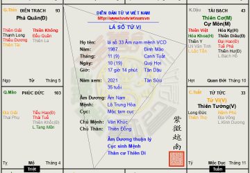 Lá số 33:   Âm Nam Mệnh Vô Chính Diệu, hội Âm Dương sang chiếu, càng đi xa càng có danh tiếng
