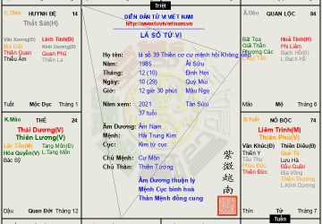 Lá số 39 Âm nam Thiên Cơ cư mệnh, Cơ- Lộc- Kiếp phù hợp làm kinh doanh, mệnh bị kẹp bởi Kình Dương- Thiên Hình cả cuộc đời là sự đấu tranh