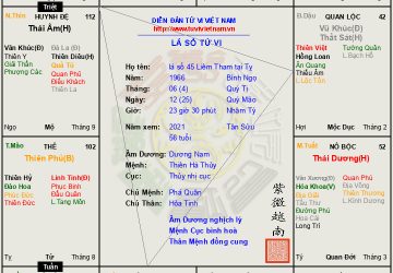 LÁ SỐ 44: Dương nam mệnh Liêm Tham tỵ hợi