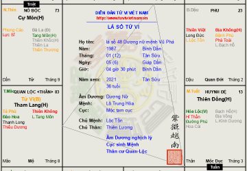 Lá số 48: Dương nữ Vũ Phá tại Hợi ngộ Tuần không, đa mưu túc trí khó ai sánh bằng