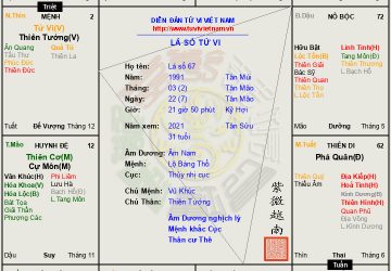 Lá số 67 Nữ mệnh cách Tử Phủ Vũ Tướng gặp triệt lộ không vong nên cuộc đời chỉ là mờ ảo, hư vô mà thôi