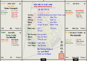 Lá số 51 Nam mệnh Sát Phá Tham là người có tài kinh doanh, giỏi mưu tính đại sự