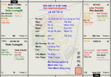 Lá số 54 âm nữ mệnh Cơ Lương tại Thìn một đời tận tâm tận lực, tiền vân trắc trở, hậu vận nở hoa