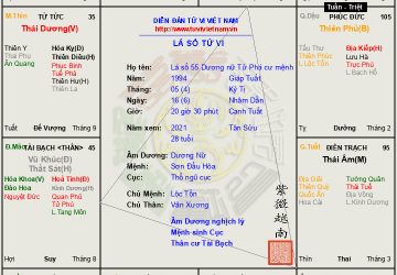 Lá số 55 nữ mệnh Tử Phá (Tử Vi, Phá Quân) công danh phú quý một đời