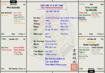 Lá số 57 Dương nam mệnh Thiên Lương hãm tại Hợi, một đời phiêu lãng, bốn biển là nhà