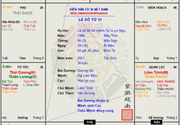 Lá số 58 dương nữ mệnh Tử vi cư Ngọ ăn cách Tử Phủ Vũ Tướng đắc cách nhất trong tử vi