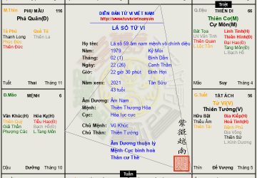 Lá số 79 âm nam mệnh Vô Chính Diệu đắc Tứ linh một đời được hưởng phúc ấm, ơn trên che chở, gặp hung hóa cát,