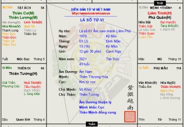Lá số 62 Âm nam mệnh Liêm Phá tại Dậu- cách cục bạo phát, bạo tàn