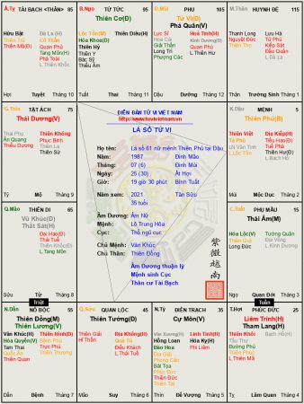 Lá số 61 Nữ mệnh Thiên Phủ tại Dậu, mệnh nhị hợp tật ách phúc họa đều là do hành động của mình mà nên