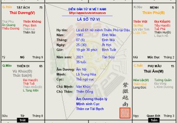 Lá số 61 Nữ mệnh Thiên Phủ tại Dậu, mệnh nhị hợp tật ách phúc họa đều là do hành động của mình mà nên