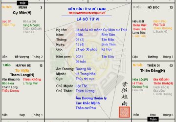 Lá số 64 nữ mệnh Cự Môn hãm tại Thìn, cuộc đời gói gọn trong 6 chữ "đứng núi này trông núi nọ"