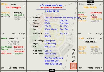 Lá số 65 Dương nam mệnh Thái Dương cư Thìn, là mẫu người dám nghĩ dám làm