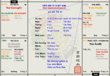 Lá số 53 âm nam mệnh Vô Chính Diệu thế Cự Nhật sáng chiếu, một đời hưởng phúc ấm