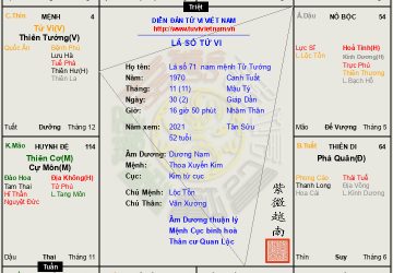 Lá số 72 nam mệnh Tử Tướng (Tử vi, Thiên Tướng)đa mưu túc trí có thể chế ngự được kẻ khác
